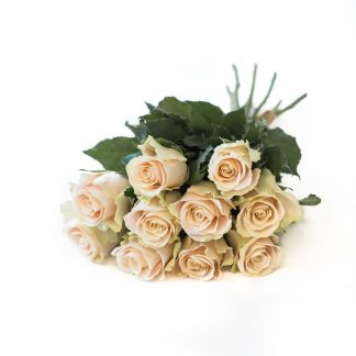 Ruusukimppu, samppanja