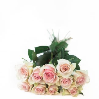 Ruusukimppu, vaaleanpunainen